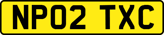 NP02TXC