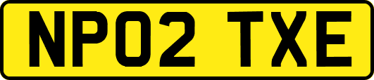 NP02TXE