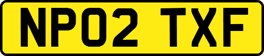 NP02TXF