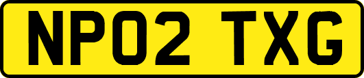 NP02TXG