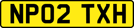 NP02TXH