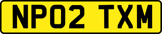 NP02TXM
