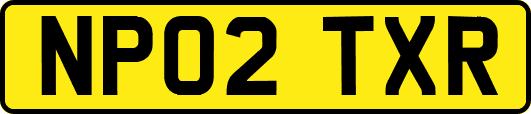 NP02TXR