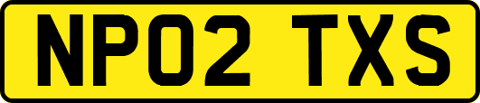NP02TXS