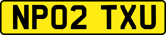 NP02TXU