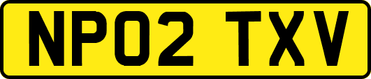 NP02TXV