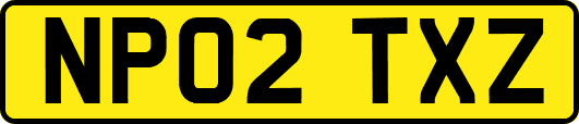 NP02TXZ
