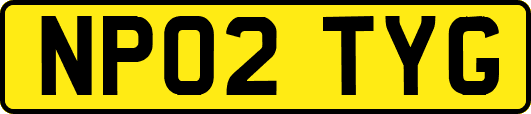 NP02TYG