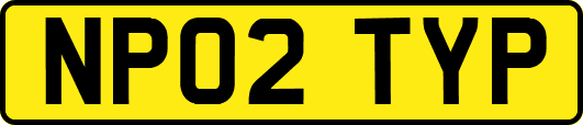 NP02TYP