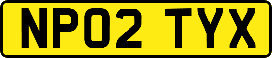 NP02TYX