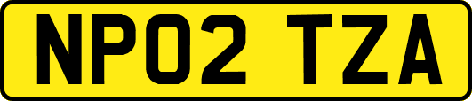 NP02TZA