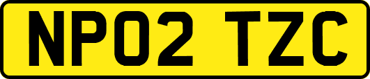 NP02TZC