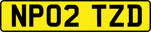 NP02TZD