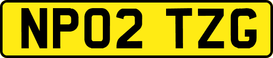 NP02TZG