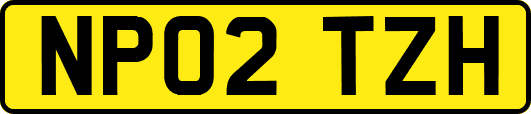 NP02TZH