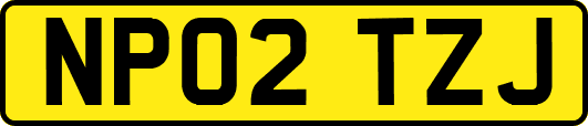 NP02TZJ