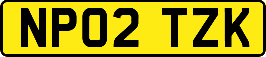 NP02TZK