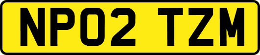 NP02TZM