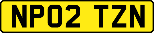 NP02TZN
