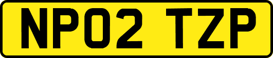 NP02TZP