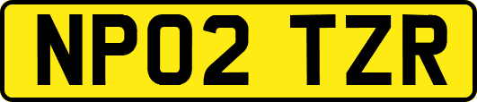 NP02TZR