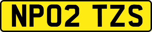 NP02TZS