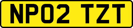 NP02TZT