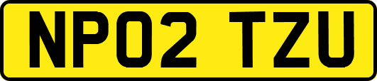 NP02TZU