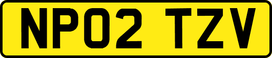 NP02TZV
