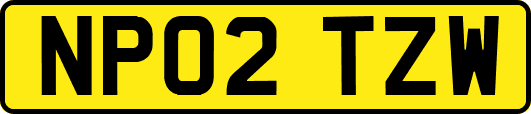 NP02TZW