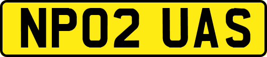 NP02UAS