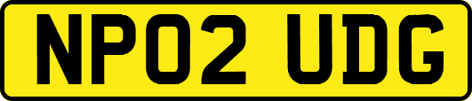 NP02UDG