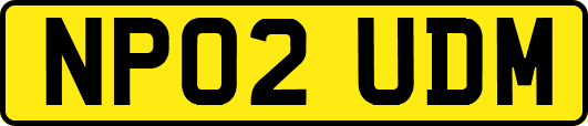 NP02UDM