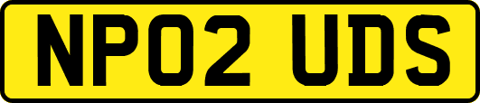 NP02UDS