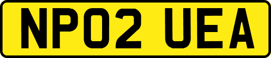 NP02UEA