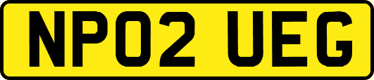 NP02UEG