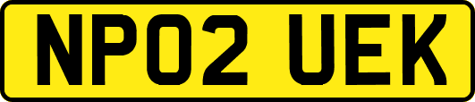 NP02UEK