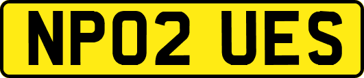 NP02UES