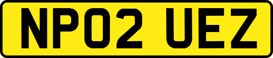 NP02UEZ