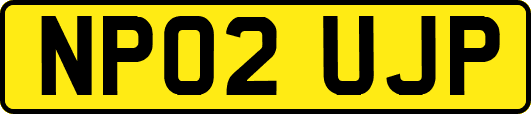 NP02UJP