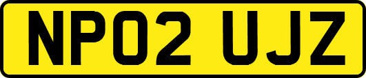 NP02UJZ