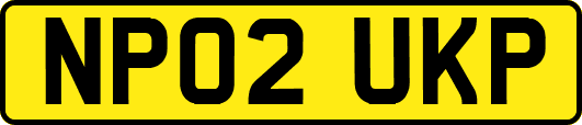 NP02UKP