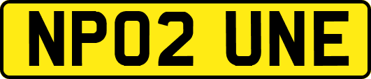 NP02UNE