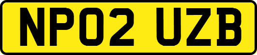 NP02UZB
