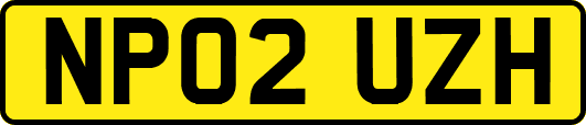 NP02UZH