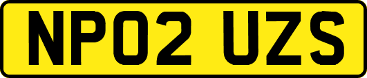 NP02UZS