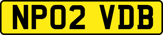 NP02VDB
