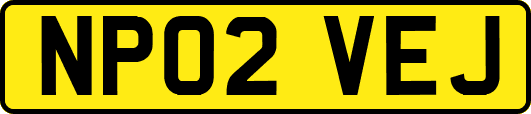 NP02VEJ