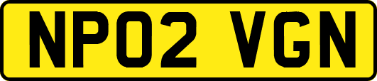 NP02VGN