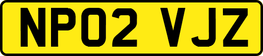 NP02VJZ